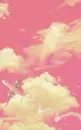 plane in a pink sky