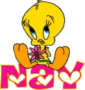 Nay