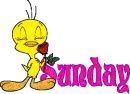 Sunday