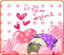 cute kawaii old dog