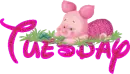Tuesday