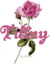 pink rose tiffny