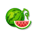 watermelon
