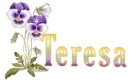 Teresa