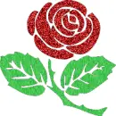 rose