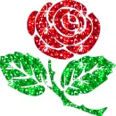 rose