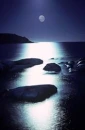 moonlit night