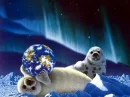 seal