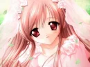 Pink Rose Bride