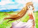 sky girl