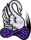Swan