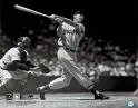 Ted Williams