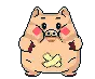 piggi