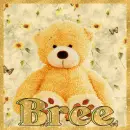 Bree