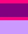 purple & pink