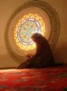 muslimah at work
