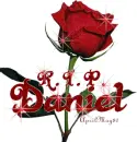 red rose r.i.p. r i p rip daniel