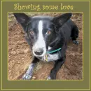 showing some love dog