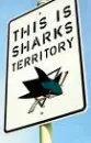 sharks