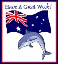 dolphin greeting