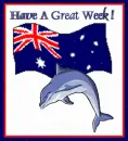 dolphin greeting