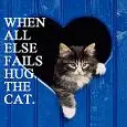hug the cat