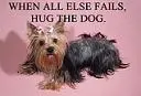 THE DOG