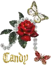 Candy