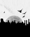 Fly away home