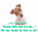 Stop animal abuse!