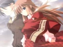 Snow Sakura.