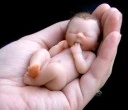 cute baby