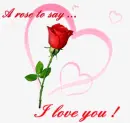 rose for you
