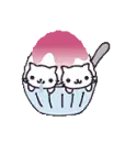 kitty