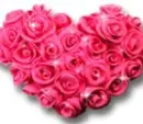 rose heart