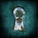 Lock