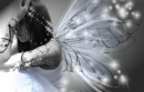 Fairy 