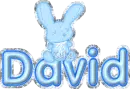 David