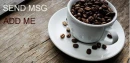 Coffee Cup