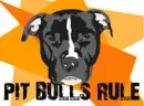 PITS RULE