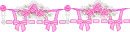 pink roses