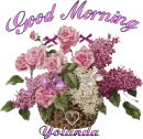 Good morning - Yolanda