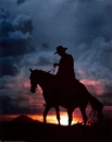 cowboy and horse