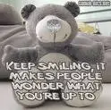 bear