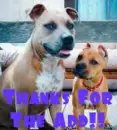 thanks4add