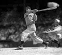 Ted Williams