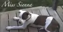 Miss Sienna