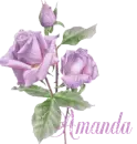 Amanda