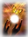 hand's light