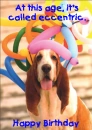 Happy Birthday Dog